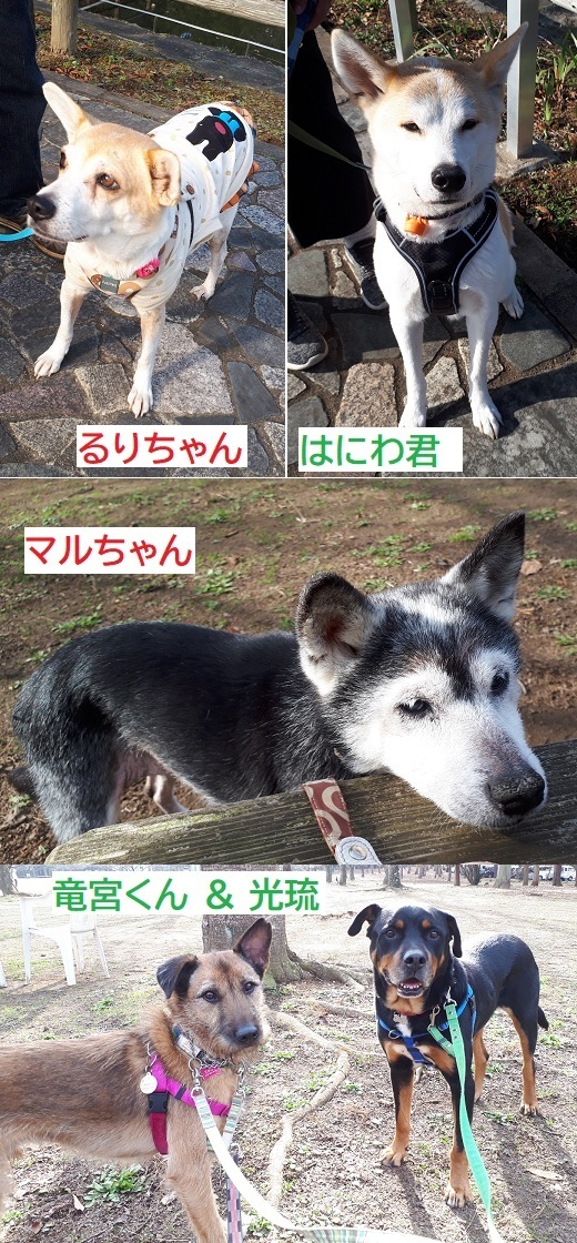 お散歩会.jpg