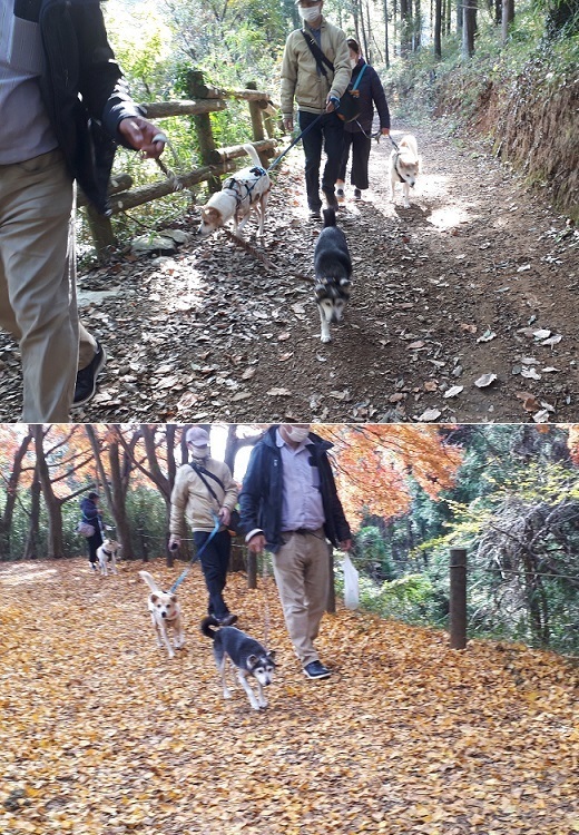 お散歩会2.jpg